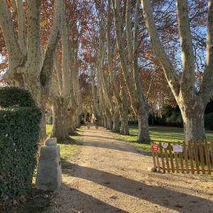 domaine-de-Chalamon